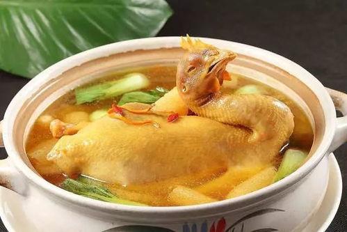 娱乐吃瓜酱鸡汤视频大全