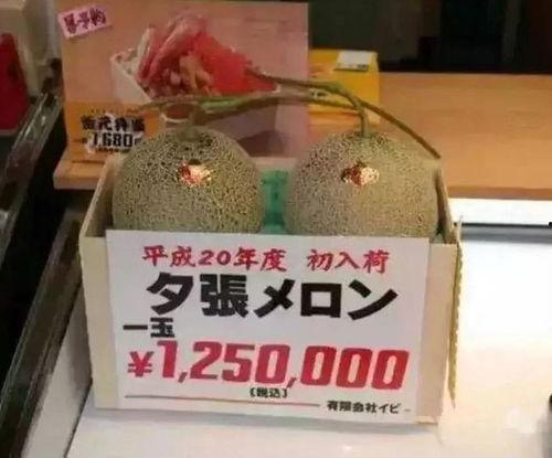 各种娱乐吃瓜图