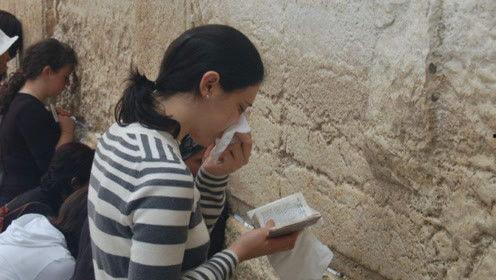 娱乐吃瓜君厂花,厂花背后的故事与魅力