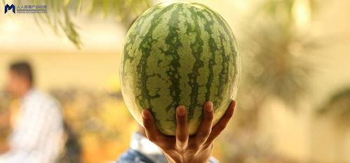 2021年娱乐圈吃瓜,瓜田李下，明星们的年度风云录